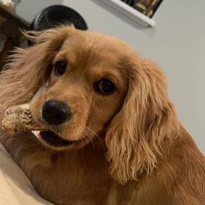 Meet your Posher, Matt